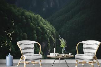 peel and stick wallpaper