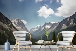 peel and stick wallpaper